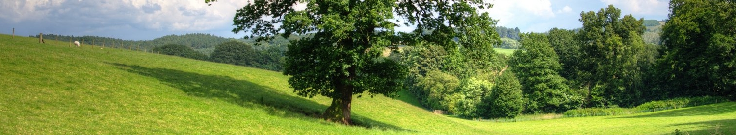 Green Agenda